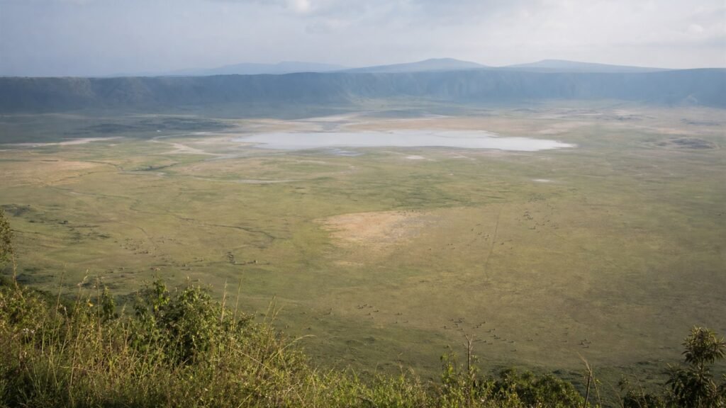 Safari vehicles on the floor of Ngorongoro Crater
