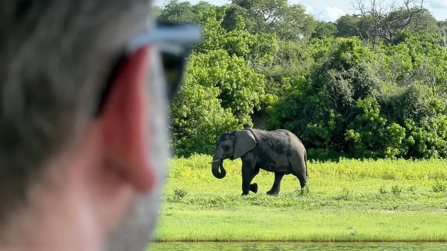 An elephant on the riverbank viewed from a safari boat in Chobe