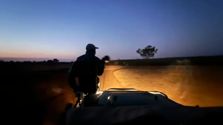Open safari vehicle travelling through Kruger after dark