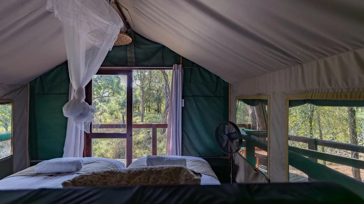 Interior of a tented safari camp overlooking woodland near Kruger