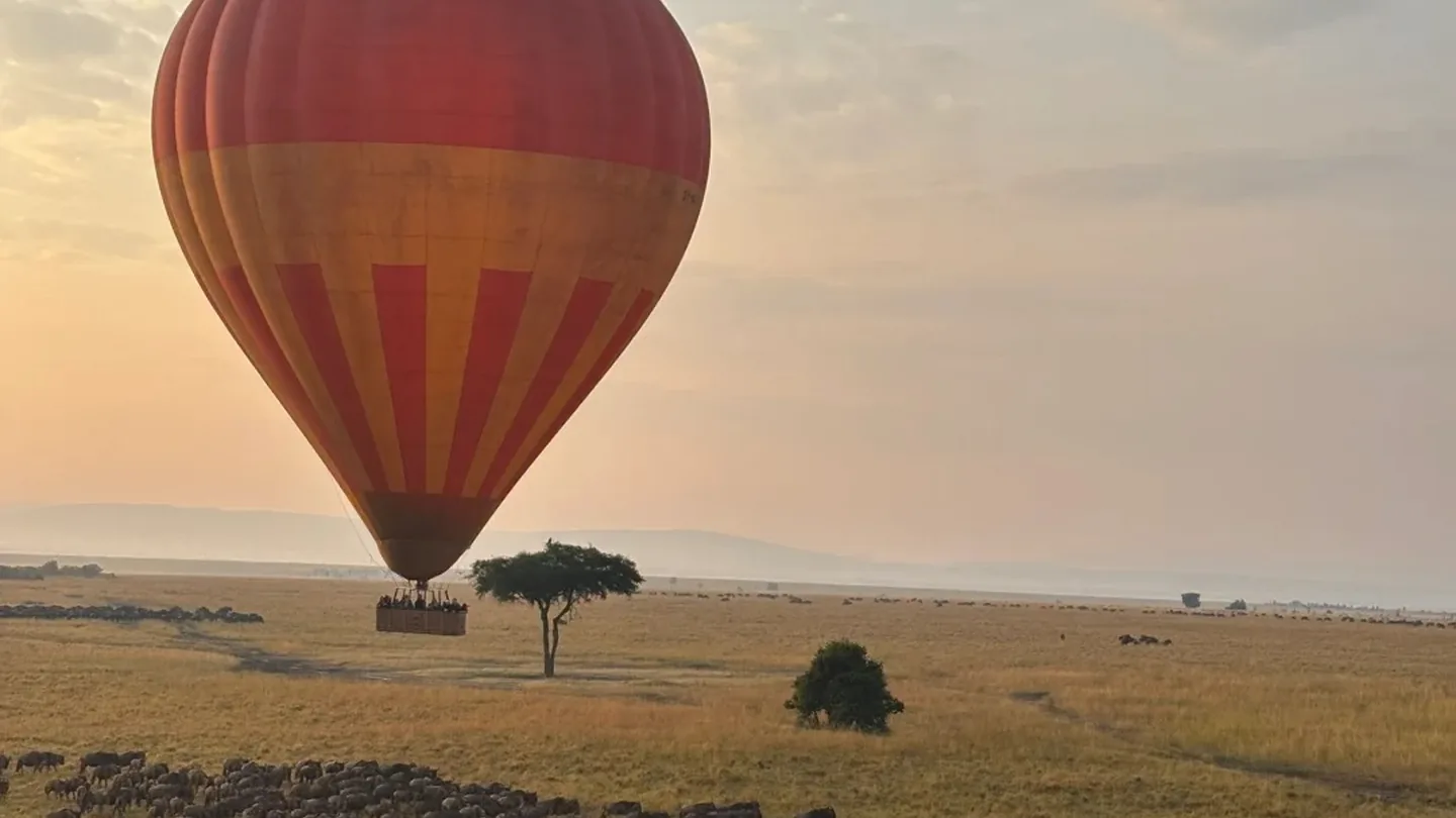 Hot-air balloon flying above wildebeest herds in the Maasai Mara