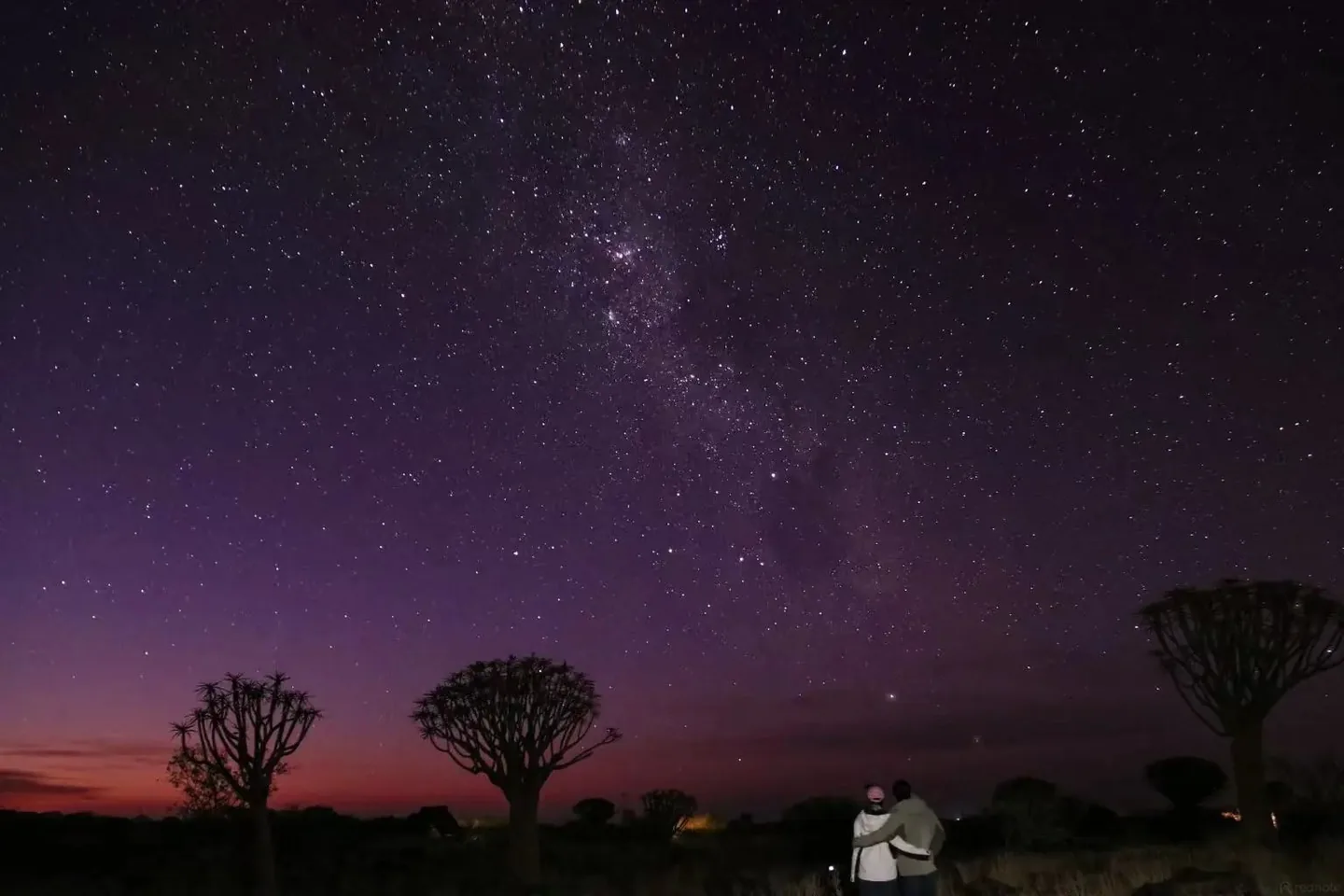 The Milky Way above quiver trees and a honeymooning couple in Namibia