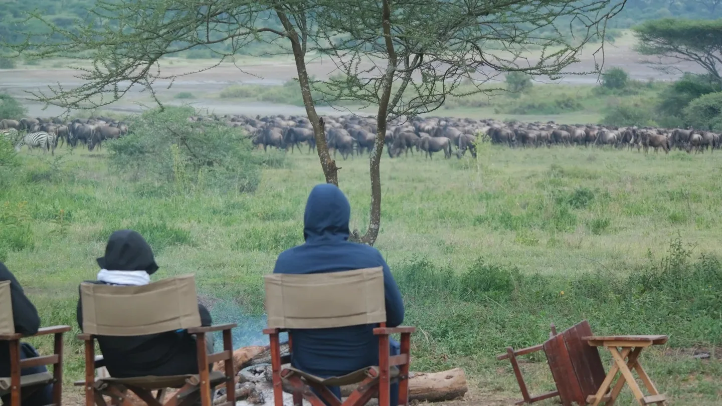 Guests seated at camp watching wildebeest herds cross the Ndutu plains