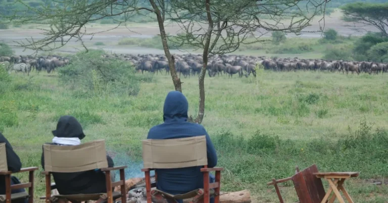 Guests watching wildebeest herds from a camp in Ndutu