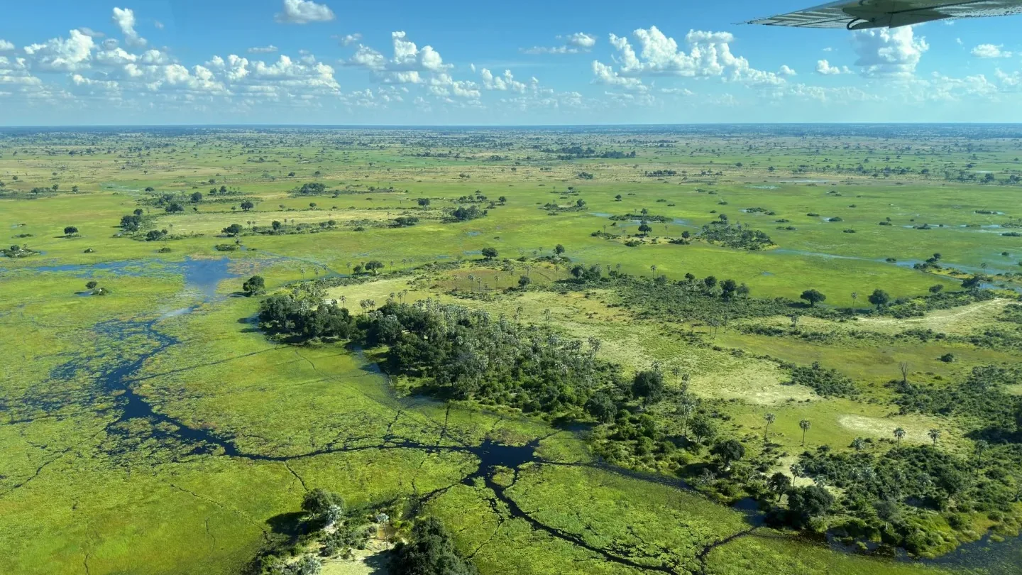 Aerial view of waterways and floodplains in the Okavango Delta
