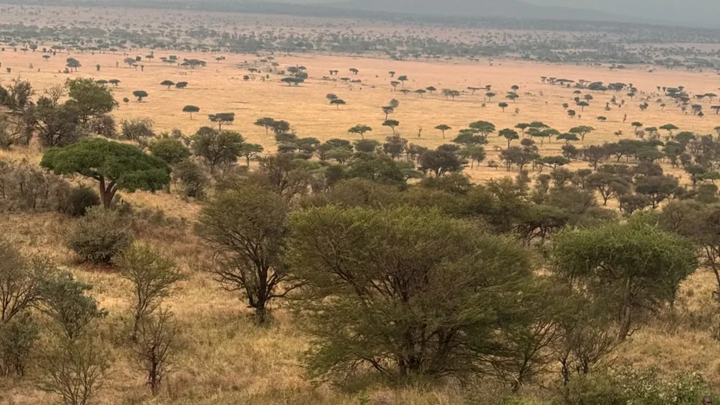 Wide lodge view across the Serengeti plains