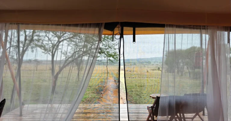 View from a luxury lodge across the Serengeti plains