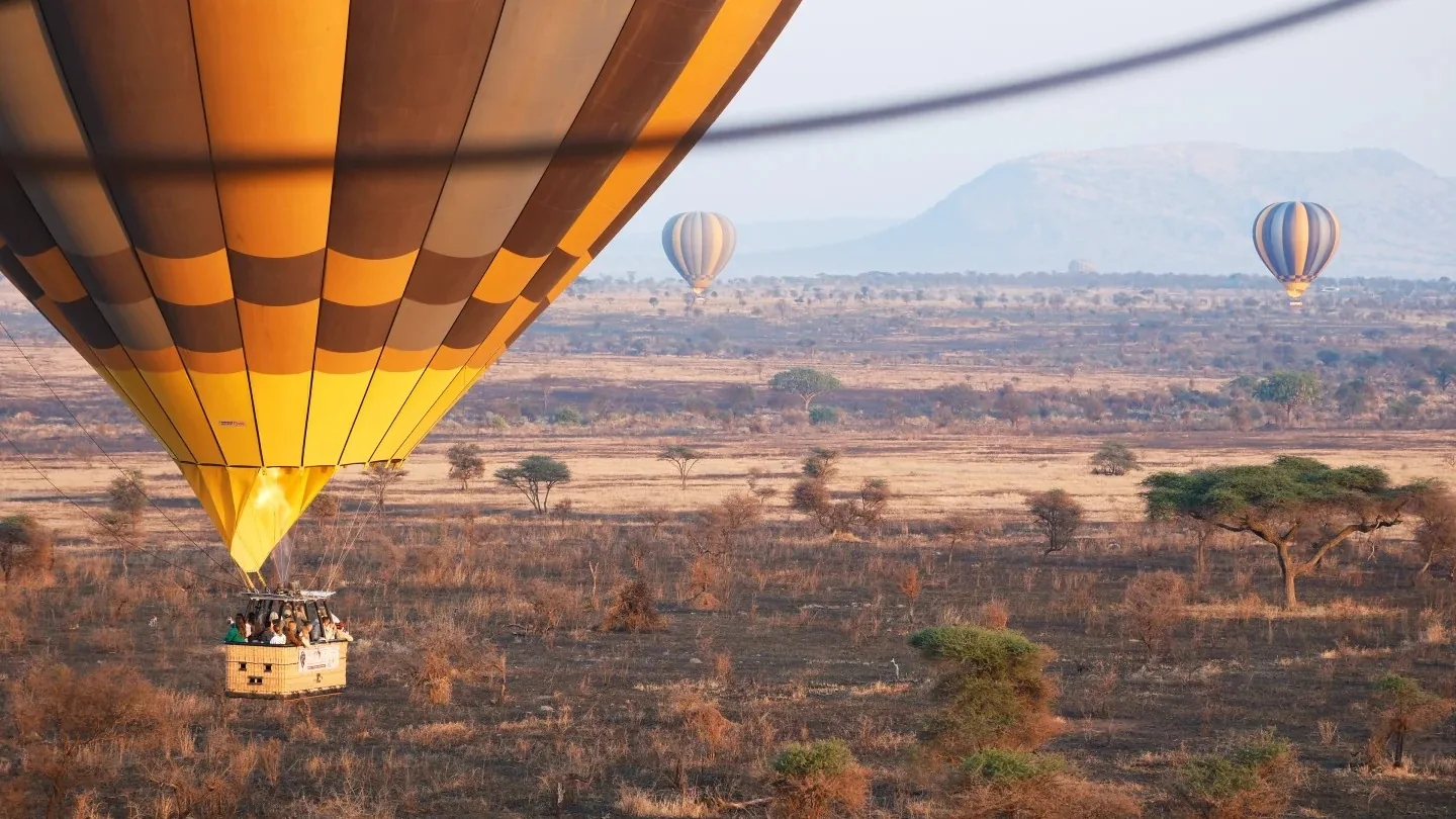 Three hot-air balloons floating over the Tanzanian savanna at sunrise