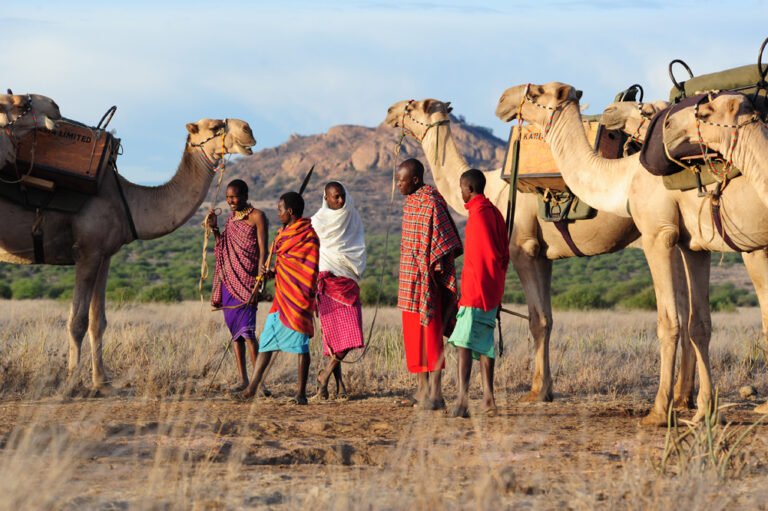 Solo Safari in Africa: Safety, Cost & Single Supplements