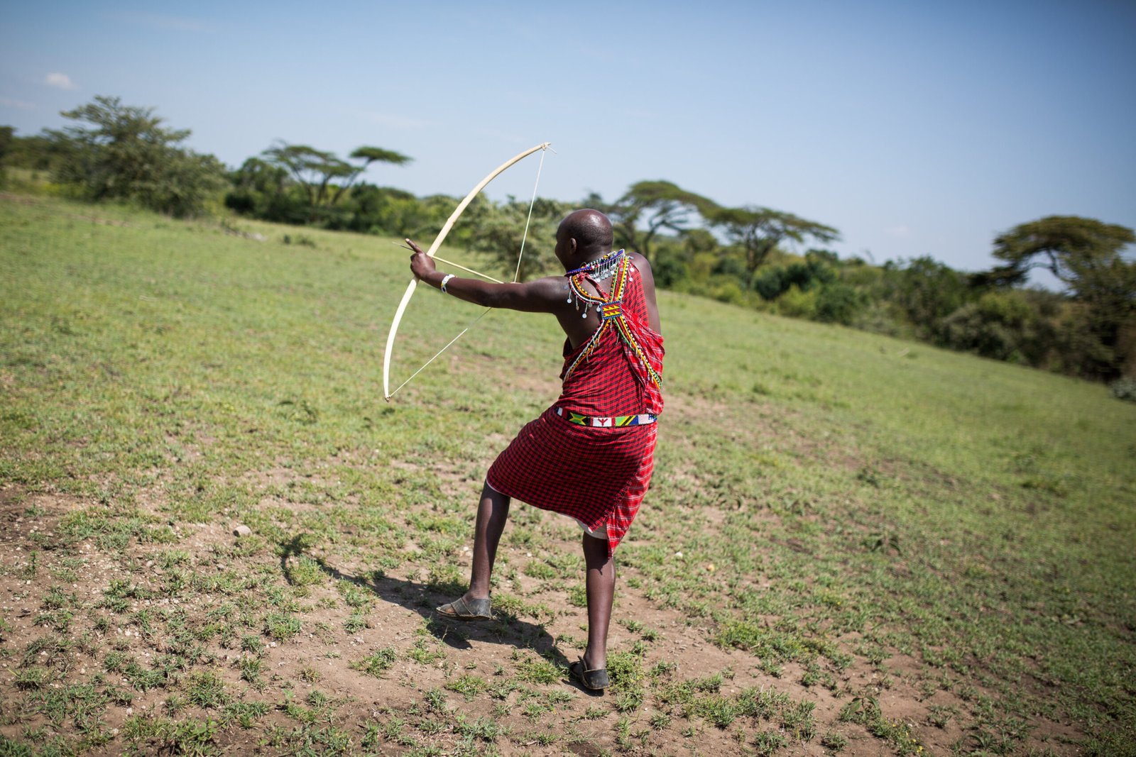 2015-06-15 Maasai guide shoots a traditional hunting bow and arrow during a walking safari, Ol Kinyei Conservancy in the Maasai Mara, Kenya 0042