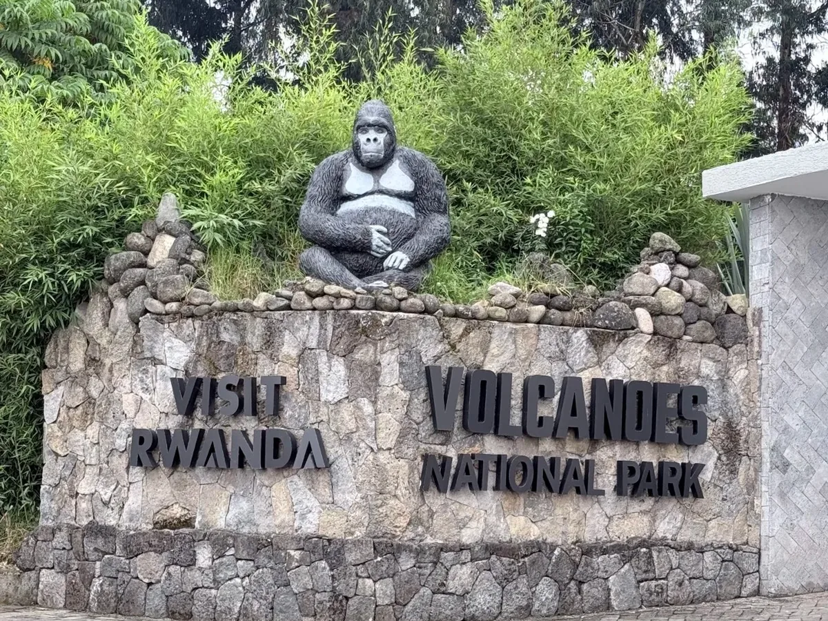 Gorilla statue above the entrance sign for Volcanoes National Park in Rwanda